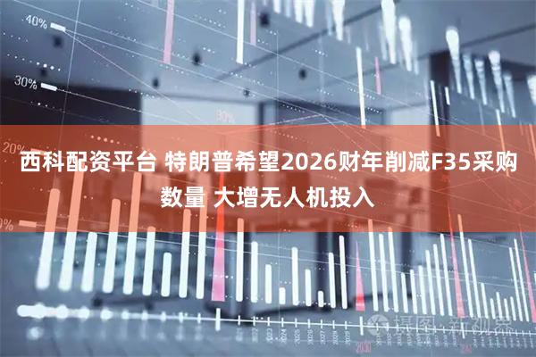 西科配资平台 特朗普希望2026财年削减F35采购数量 大增无人机投入