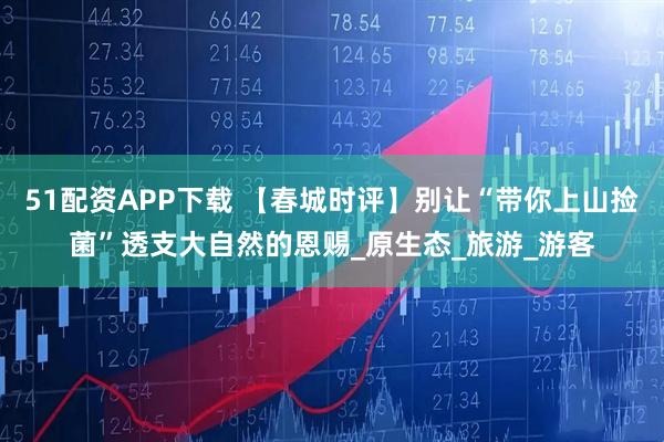 51配资APP下载 【春城时评】别让“带你上山捡菌”透支大自然的恩赐_原生态_旅游_游客