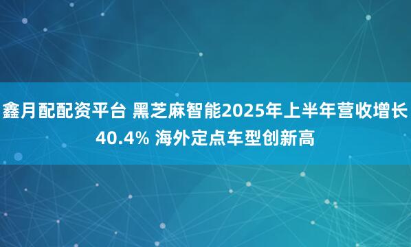 鑫月配配资平台 黑芝麻智能2025年上半年营收增长40.4% 海外定点车型创新高