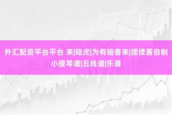 外汇配资平台平台 来|陆虎|为有暗香来|揉揉酱自制小提琴谱|五线谱|乐谱